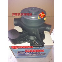 612600061296水泵總成