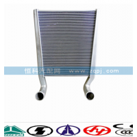 WG9918530002~中冷器總成
