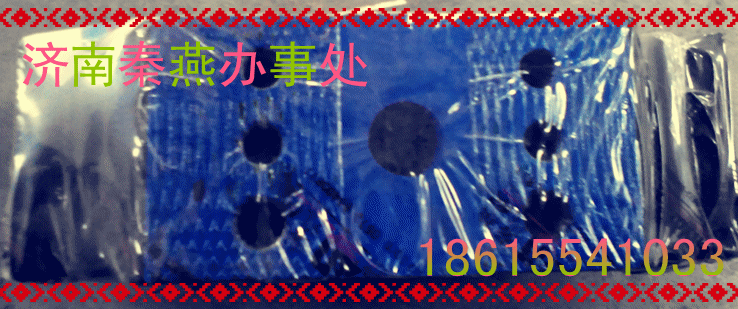 秦燕 STR 后置撐/9910059031