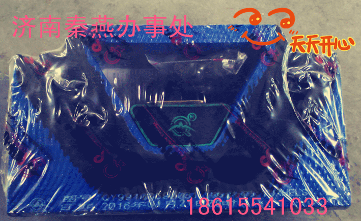 秦燕 STR 后置撐