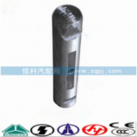 WG9100520065鋼板肖