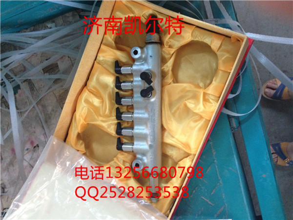 VG1095080007重汽豪沃斯太爾金王子共軌組件/VG1095080007