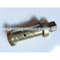 AZ1642430071翻轉軸螺絲