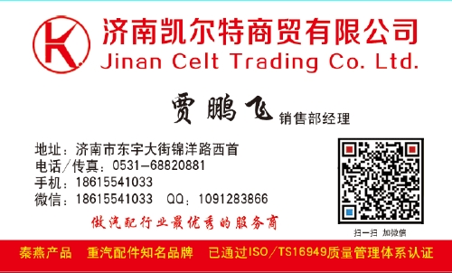 山東秦燕 STR 發(fā)動機后支撐 99100590031/99100590031