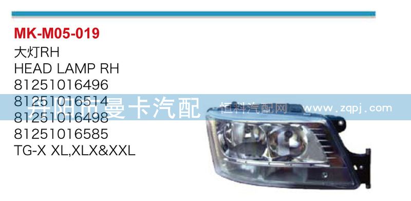 大燈81251016496/81251016496