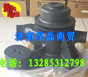 61800061007水泵/61800061007