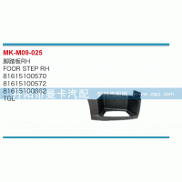 腳踏板81615100862，81615100861