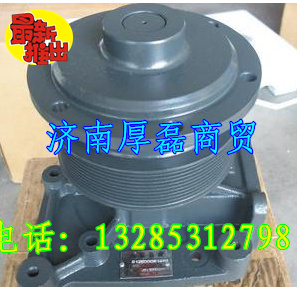 612600061498水泵/612600061498