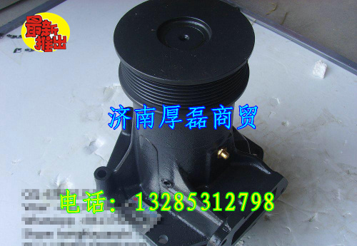 612600061739水泵/612600061739