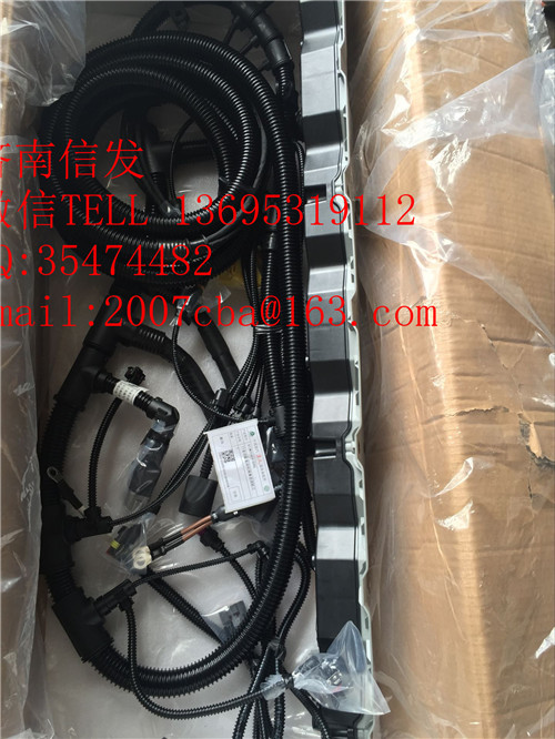 812W25424-6365重汽T5G發動機線束1,812W25424-6365重汽T5G發動機線束1,濟南信發汽車配件有限公司