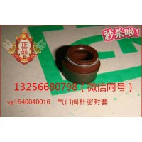 供VG1246050027重汽豪沃斯太爾金王子發(fā)動機(jī)氣門油封