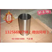 供應(yīng)VG1540010006重汽豪沃斯太爾金王子發(fā)動機(jī)氣缸套