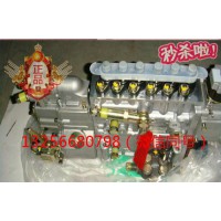 供應VG1092080120重汽豪沃斯太爾發(fā)動機噴油泵總成