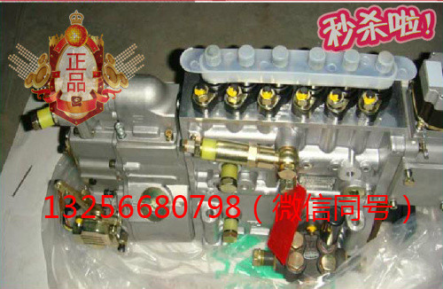 供應VG1092080120重汽豪沃斯太爾發動機噴油泵總成/VG1092080120