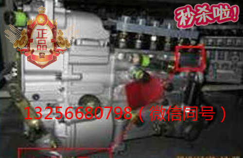 供應(yīng)VG1093080180重汽豪沃斯太爾發(fā)動(dòng)機(jī)噴油泵總成/VG1093080180