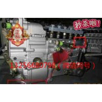 供應VG1093080180重汽豪沃斯太爾發動機噴油泵總成