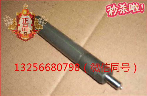 供應VG1560080276重汽豪沃斯太爾發動機噴油器總成/VG1560080276