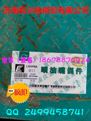 供應中國重汽噴油嘴偶件L203PBA 濟南凱爾特/L203PBA