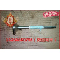 供應VG1540050015重汽豪沃斯太爾金王子發動機進氣門