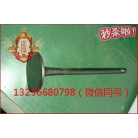 供應VG1096050015重汽豪沃斯太爾金王子發動機進氣門
