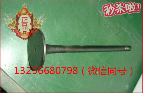 供應VG1096050015重汽豪沃斯太爾金王子發動機進氣門/VG1096050015