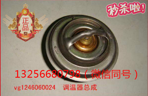 供應VG1246060024重汽豪沃斯塔爾金王子發(fā)動機節(jié)溫器/VG1246060024