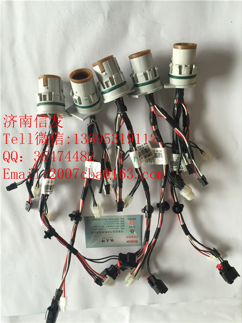 24V-A041B881 Ecofit尿素泵體內線束/24V-A041B881 Ecofit尿素泵體內線束