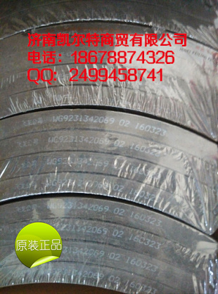 重汽豪沃后制動剎車片14孔 濟南凱爾特/WG9231342069