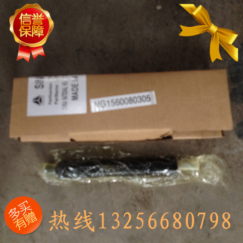 供應61560080305重汽豪沃斯太爾金王子噴油器總成/61560080305