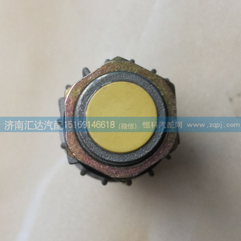 電子感應(yīng)式剎車(chē)燈開(kāi)關(guān)DZ91189582018/DZ91189582018