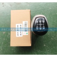 換擋手柄球（10檔鋁座）WG9925240020