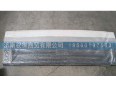 NZ1651110120,重汽豪運前面板,濟南權御進出口有限公司