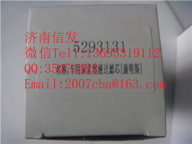 5293131  尿素泵濾芯   康明斯  伊可菲特,5293131  尿素泵濾芯   康明斯  伊可菲特,濟南信發汽車配件有限公司