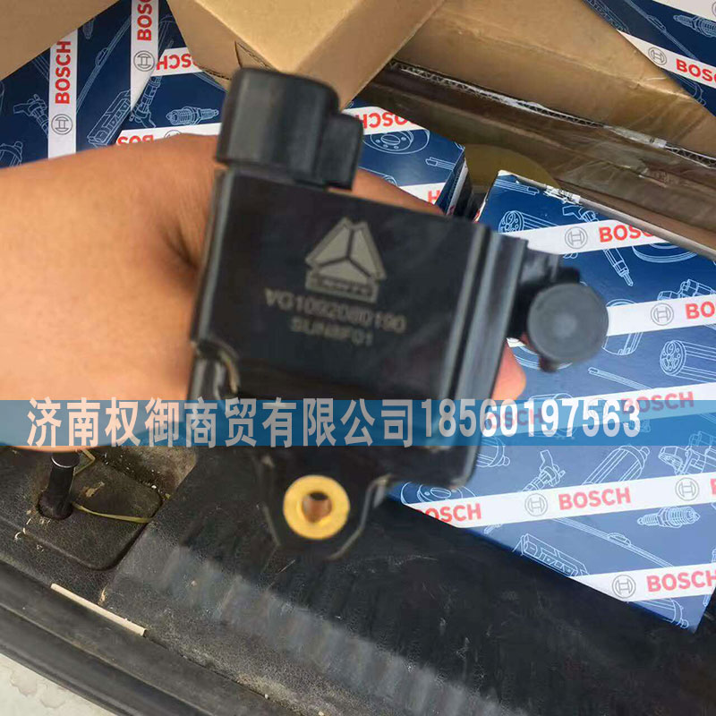 WG1092080190,天然氣點火線圈,濟南權御進出口有限公司
