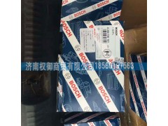 WG1092080190,天然氣點火線圈,濟南權御進出口有限公司