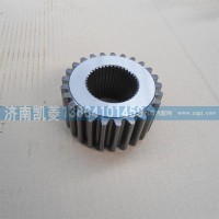 81351130034太陽輪