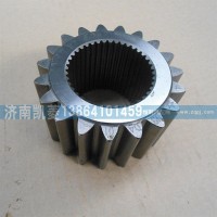 81351130044太陽輪