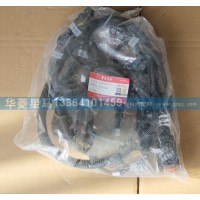 618DA4001001B發動機線束