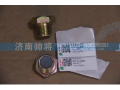 WB623M24,磁性放油螺塞,濟南帥將商貿有限公司