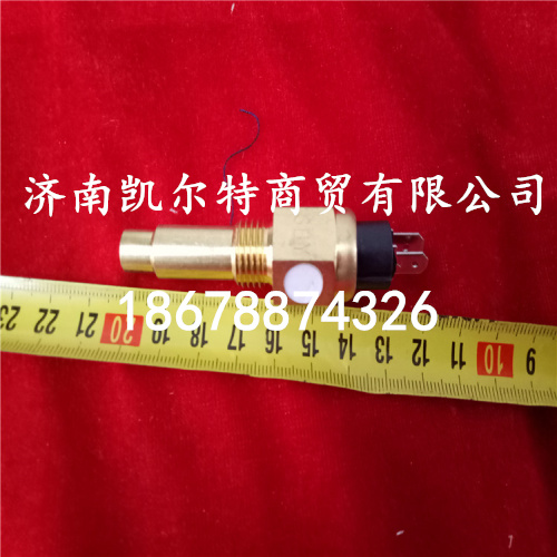 供應(yīng)歐Ⅱ水溫傳感器VG14090067/VG14090067