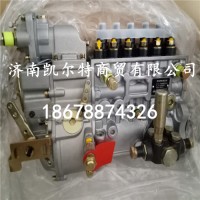 供應北方奔馳612601080376高壓油泵