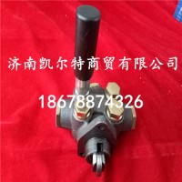 供應北方奔馳供油泵VG1500080100