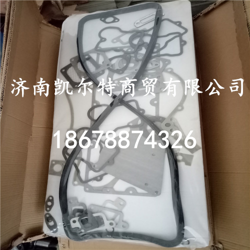 供應北方奔馳發動機修理包61560010701/61560010701