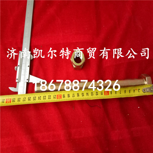 供應北方奔馳長推力桿螺栓190003803974/190003803974M20*250