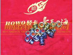LG9700362509,HOWO豪沃輕卡螺母座KM22,山東悍將商貿有限公司