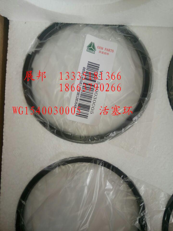 活塞環/WG1540030005