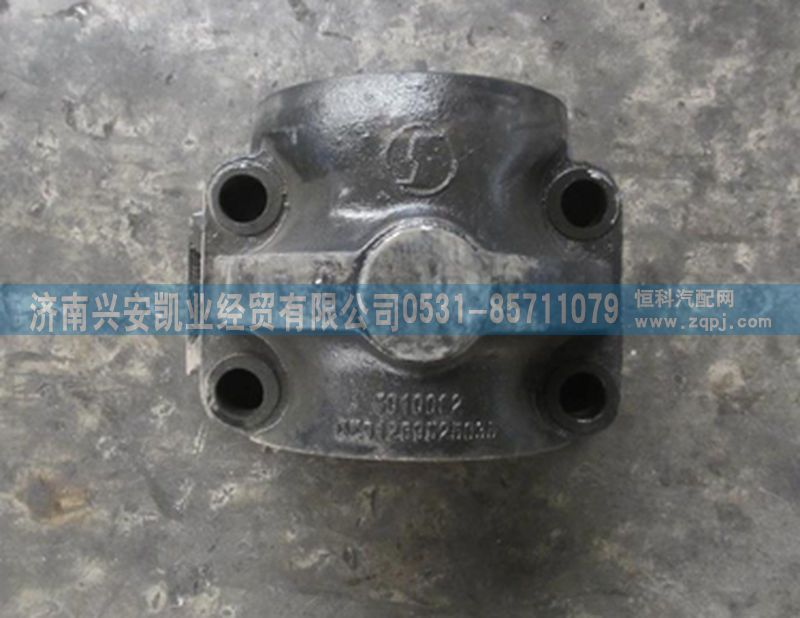 DZ91259525035,平衡軸殼,濟南興安凱業經貿有限公司