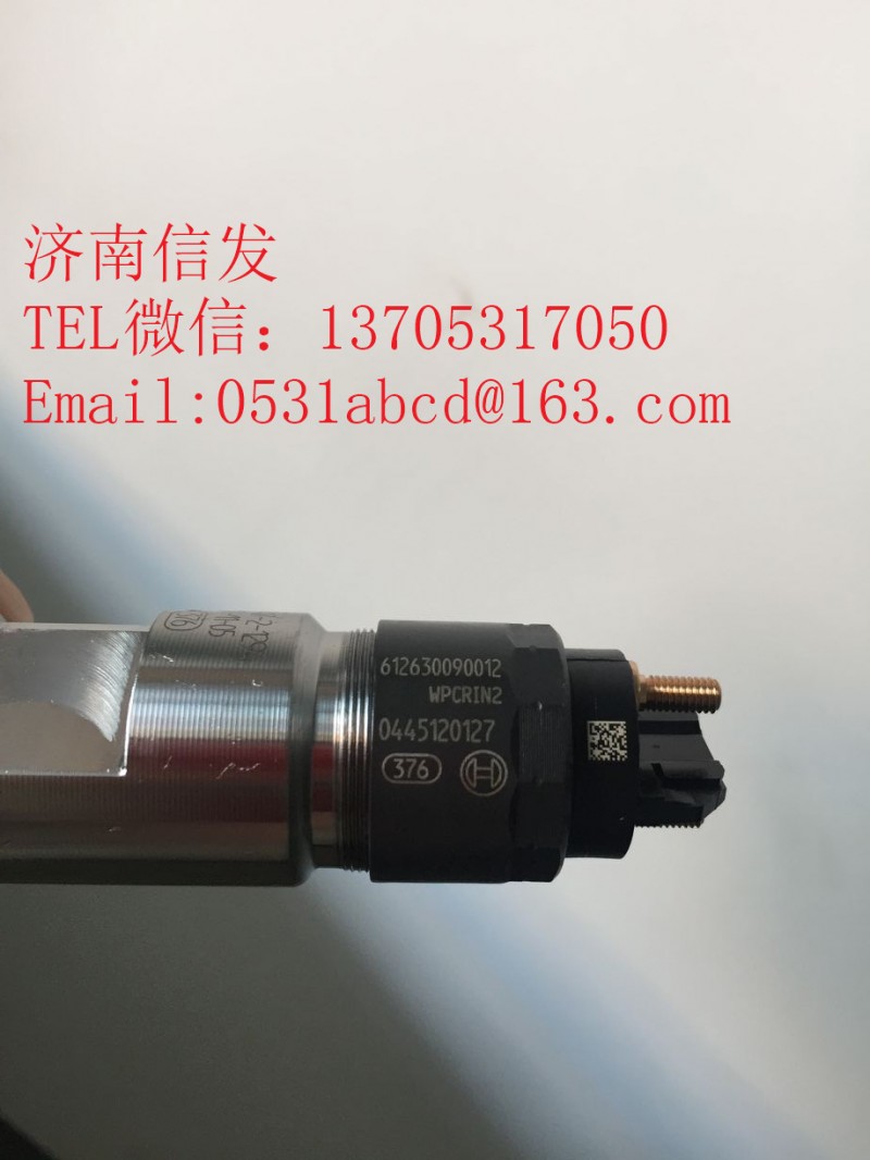 0445120127德龍噴油器博世,0445120127德龍噴油器博世,濟南信發汽車配件有限公司