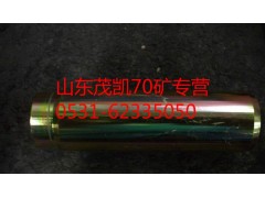 wg9970440035,70礦前制動蹄支銷,山東茂凱商貿有限公司