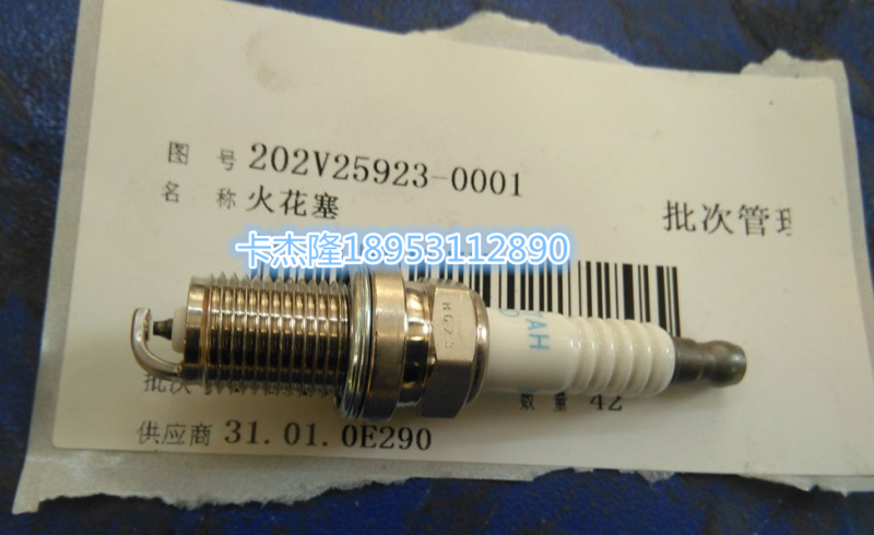 202V25923-0001,火花塞,濟南卡杰隆商貿有限公司